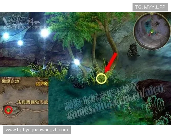 皇冠手机版登陆常见问题解答，帮助新手快速上手游戏