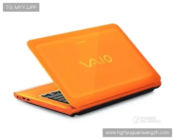 新2手机版网址官方入口网址导航，确保玩家轻松找到最稳定的登录通道体验最新游戏娱乐