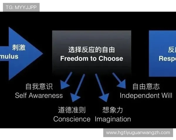 HKJC app国际首页常见问题解答与解决方案帮助用户高效应对使用中遇到的难题